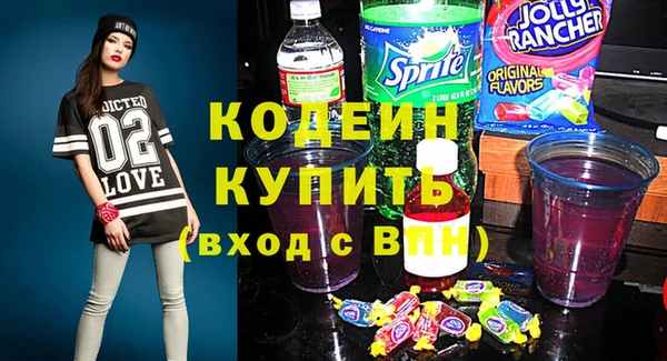 индика Горняк