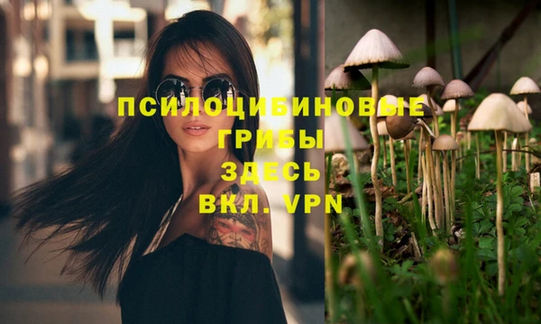 MDMA Гусев
