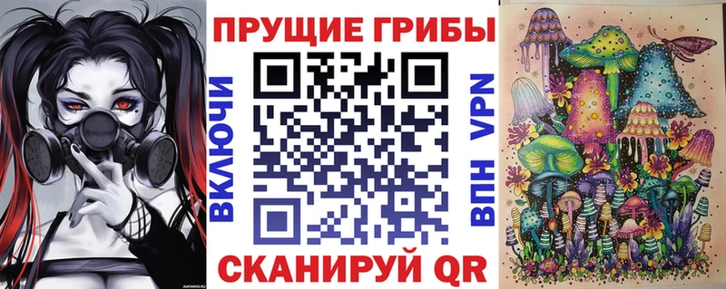 Псилоцибиновые грибы Psilocybe  Кызыл 