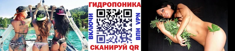 mega ссылки Кызыл Бошки марихуана индика